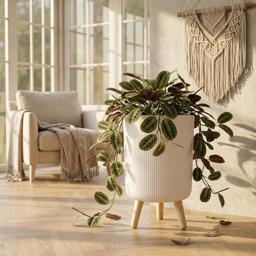 Modern Ribbed Planter with Wooden Legs
