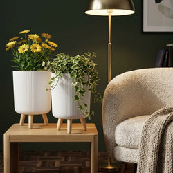Modern Ribbed Planter with Wooden Legs