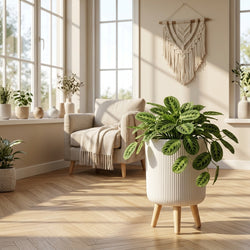 Modern Ribbed Planter with Wooden Legs